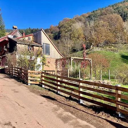 Holiday home Escapade Nature Ribeauville 6 Personnes *